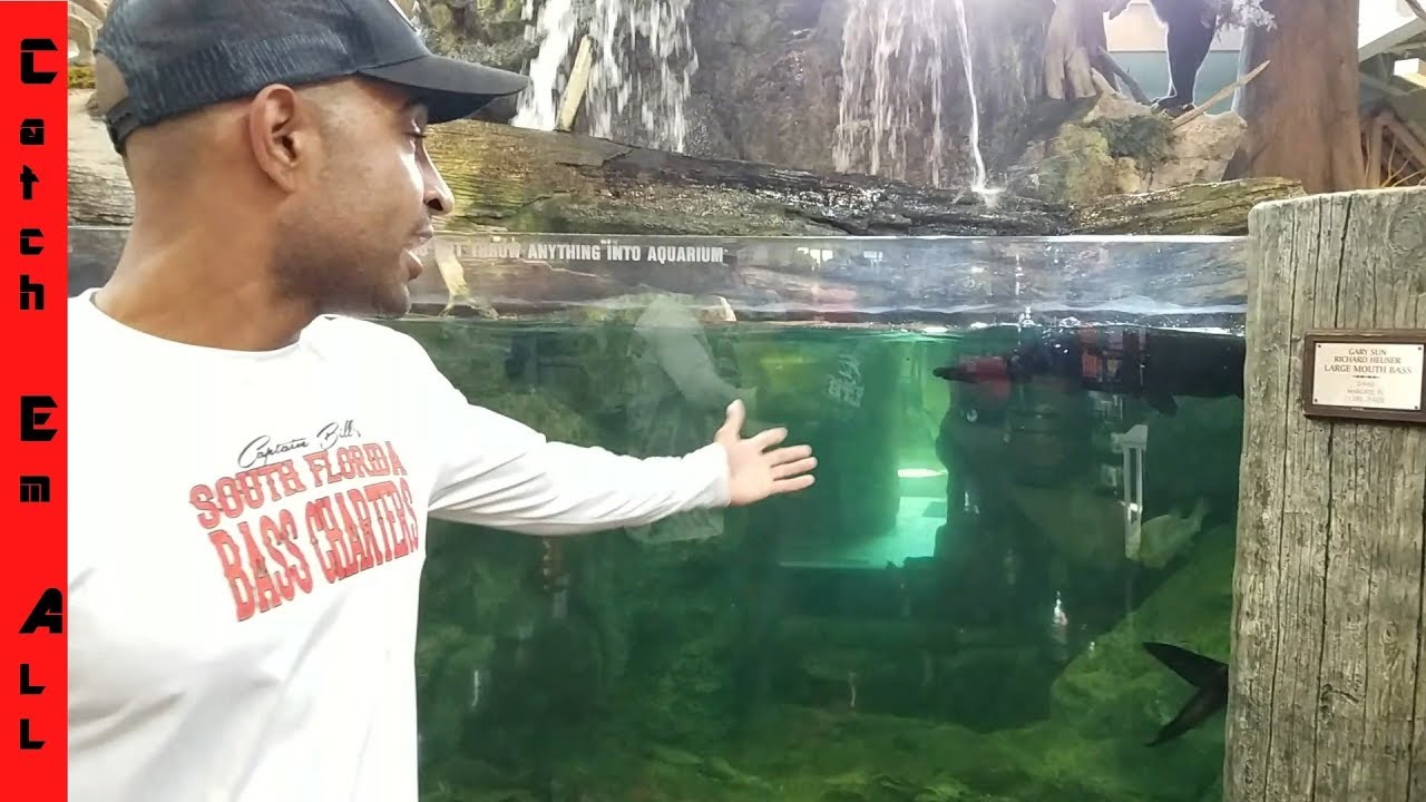 Put My Pet Fish in BASS PRO SHOPS POND! 