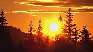 Who Will Decide Our Future?