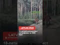18-летний мотоциклист оштрафован на 1000 евро