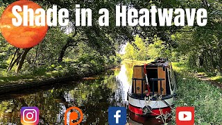 E75.Our Narrowboat Encounters a Fallen Tree That Halts Canalboat Life Living on the Llangollen Canal