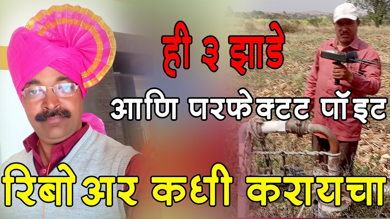 ही तीन झाडे आणि परफेक्ट पॉइंट ? रिबोर कधी करायचा