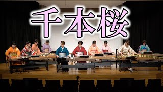初音ミクの 千本桜（渡辺泰子編曲）／箏桜会そうおうかいsououkai／箏曲
