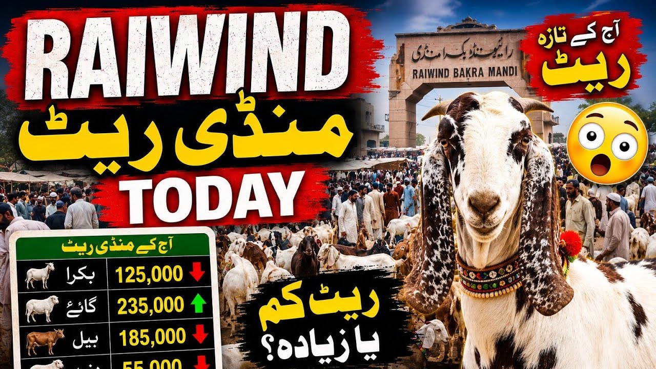 Qurbani Janwar New Rates 2026- Raiwind Mandi Rate Today 😱 Aaj Ke Taza ...