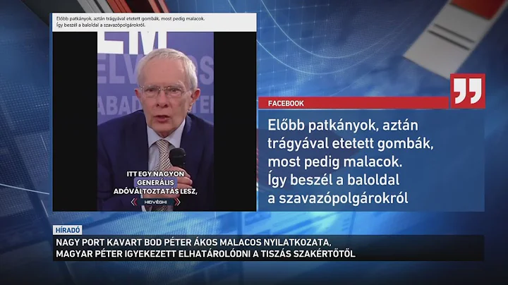 Hatalmas port kavart a Tisza párthoz köthető Bod Péter Ákos malacos nyilatkozata