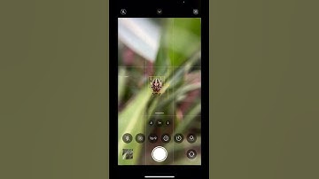 Macro photography idea🔥 || Sambhav Mishra #shorts #bts #shotoniphone #photography