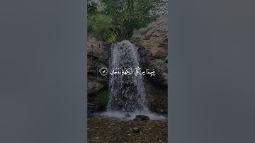 فِيهِمَا مِن كُلِّ فَاكِهَةٍ زَوْجَانِ #سورة_الرحمن بصوت| محمد سالم غازي