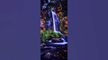 فإستقم كما أمرت..تلاوة مباركة للقارئ الشيخ وليد سليمان..