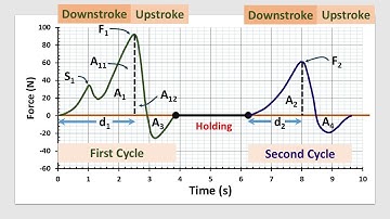 Instrumental Texture Profile Analysis (TPA) of Foods: Basic Understanding