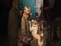 а кто любит мемы
