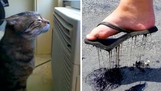 картинка: Лето без этого – не лето яркие события жарких дне