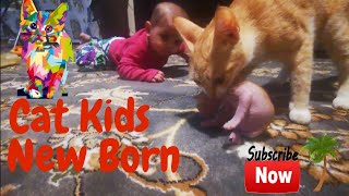 Baby and Cat Coco Fun and Cute - Funny Baby Video!! Muhammad salar Vlogs