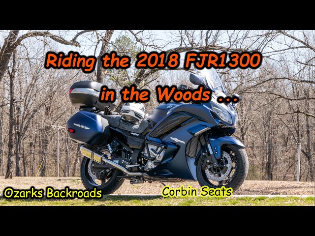 A Trip Through The Woods On 2018 Yamaha Fjr1300 You