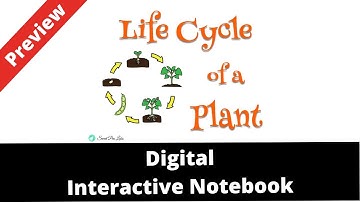 Life Cycle of a Plant Digital Interactive Notebook Preview