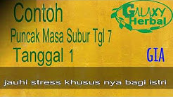 Cara tepat agar cepat Hamil - Durasi: 4.35. 