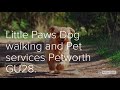 I offer diy walking as in solo dog walks and pet sitting in your own home