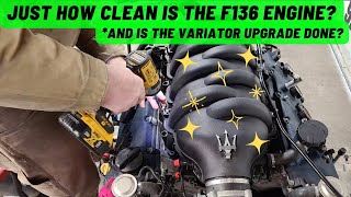 F136 Maserati / Ferrari engine inspection before the 928 swap  How bad could it be?