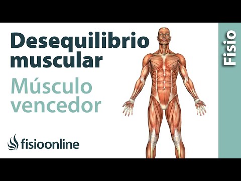 Vídeo: Desequilibrio Muscular: Causas, Tratamiento Y Prevención