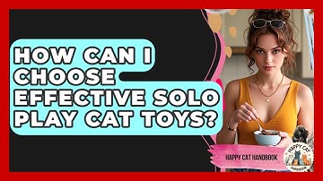 How Can I Choose Effective Solo Play Cat Toys? - Happy Cat Handbook