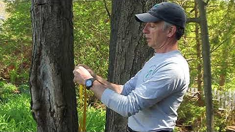 3 Bight Anchor: Rope Rescue, VTTF1 USAR