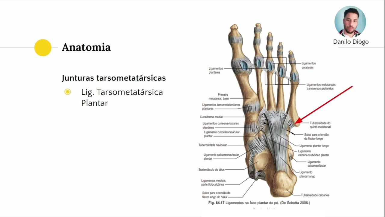 AMC 1/2021 07 ANATOMIA APLICADA À FRATURA DA BASE DO 5º METATARSO