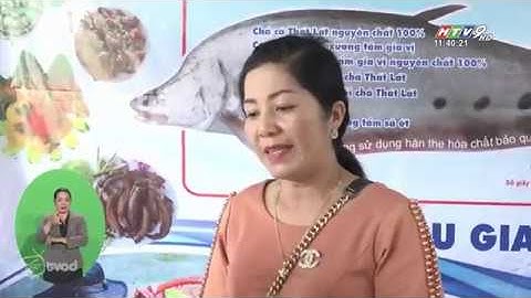 CƠ SỞ KỲ NHƯ - THỜI SỰ HTV9