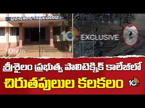 శ్రీశైలం ప్రభుత్వ పాలిటెక్నిక్ కాలేజీలో చిరుతపులుల కలకలం |  Leopard Hulchul In Srisailam | 10TV - 10TVNEWSTELUGU
