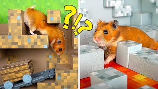 Labirin Gaya Minecraft dengan Rintangan untuk Hamster