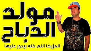 مزيكا مولد الدباح | توزيع | اسلام الهرم 2021 ( المزيكا اللى كله بيدور عليها )