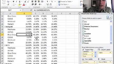 Excel Video 300 Percentages of the Parent Row Total