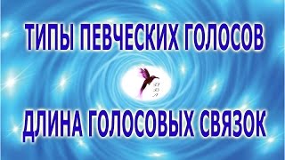 Типы певческих голосов и длина голосовых связок