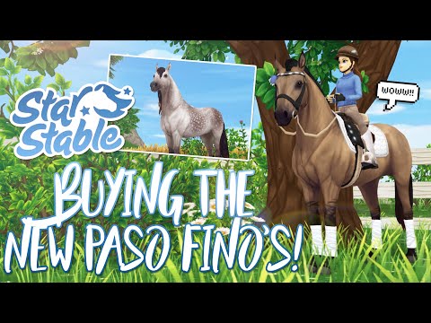 Buying the NEW Paso Fino horses! | Star Stable Updates