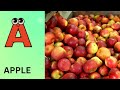 ABC Phonics Song | Alphabet letter sounds | ABC learning for toddlers | Education ABC Nursery Rhymes