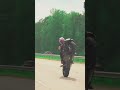 BMW S1000RR Pure Sound 2026 🔊 #shorts #bmws1000rr #bmw #superbike