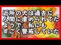 近所の犬は過去に人間にいじめられていたようで、私にもすごく警戒していた。いい話