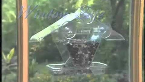 The Aspects Window Cafe Bird Feeder