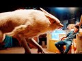 Chinese Adventure Thriller Film Hanson And The Beast Explained Movies Recapped 