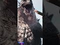 Godzilla Rips Titanoboa into 2 Pieces #Titanoboa #DazzlingDivine #Godzilla