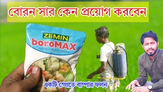 বোরন সার কেন প্রয়োগ করবেন l boroMAX