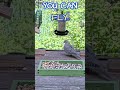 YOU CAN FLY YOU KNOW! 😂 He didn't Fly!!