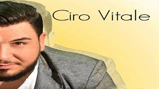 Ciro Vitale - Se lo vuoi