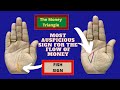 Money Triangle in palm v/s Fish sign in hand | Most Auspicious Sign for Wealth Money | Palmistry