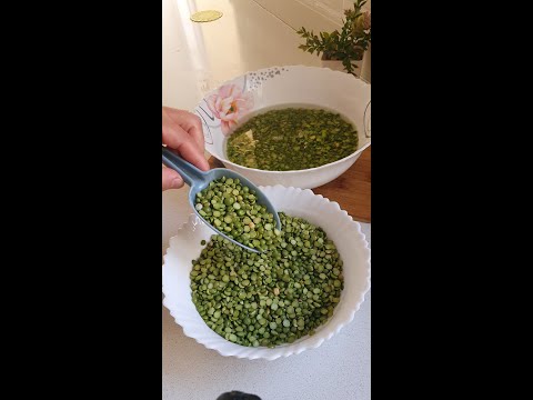 جيبي جلبانة اليابسة واجي نوجدو الذ طبق والله ماتشبعو منه غادي يولي معتمد عندكم مرة فالاسبوع