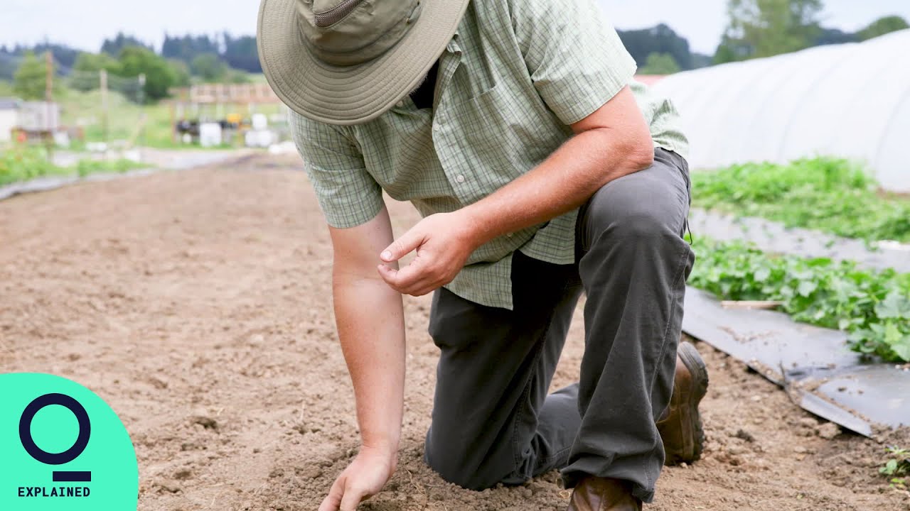 Transforming Farming Through Soil Biology Green Jobs YouTube