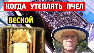 Когда весной надо утеплять пчел? Зимовка без утепления