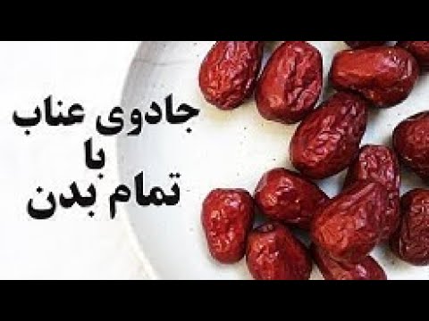 آشنایی با عناب و خواص آن در درمان و پیشگیری از بیماری ها