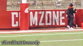 r/Accidentalcomedy | the WHAT zone??!?