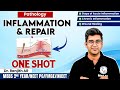 Pathology | Inflammation (Acute, Chronic &amp; Wound Healing)ONE SHOT| MBBS 2nd Year/NEET PG/FMGE/INICET