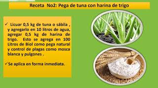 Pegas O Adherentes Naturales