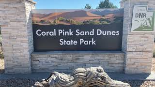 Playing in the sand at Coral Pink Sand Dunes State Park, Utah by By Faith 30 views 6 months ago 46 seconds