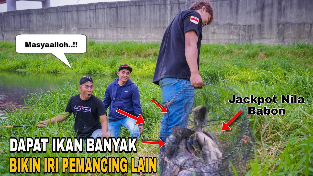 HEBOH..!! Bikin Pemancing Sebelah Panik Mancing Dapat Ikan Nila Satu Kramba Babon Semua